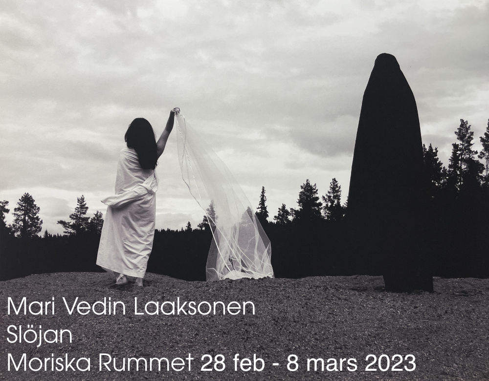 Utställning: Mari Vedin Laaksonen 28/2 - 8/3 2023