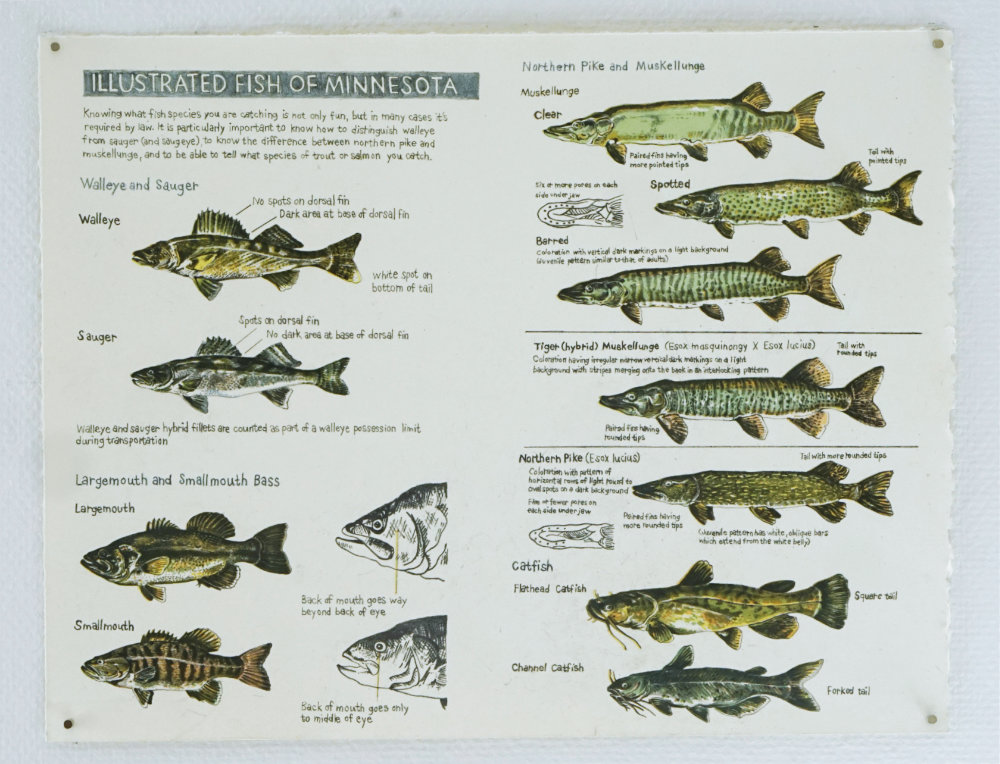 Gästutställning: Prints from the American Middle 3/5 21/5 2025